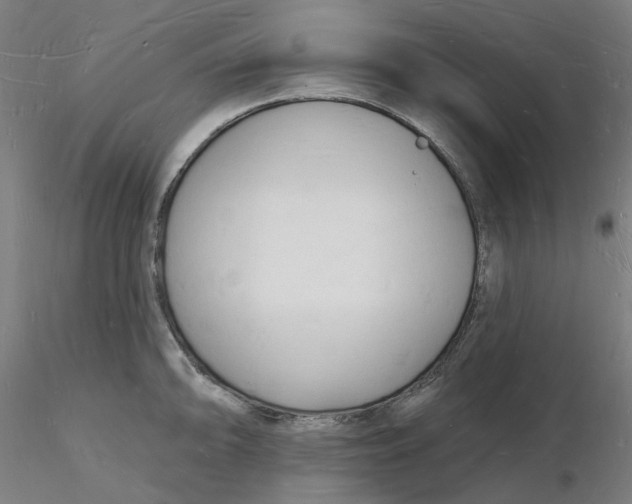 X0000116131094200912211710