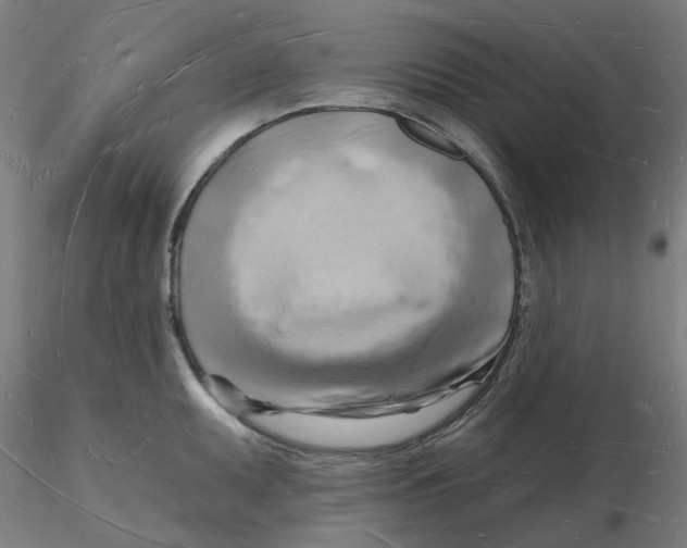 X0000116131095200912211710