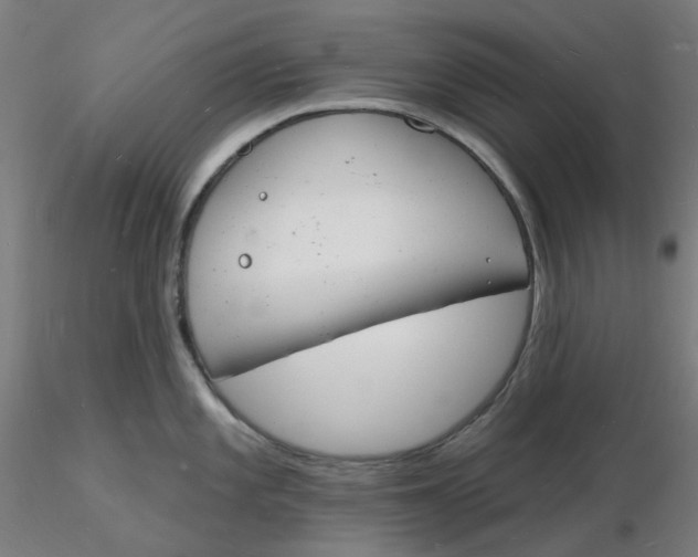 X0000116131101200912211710