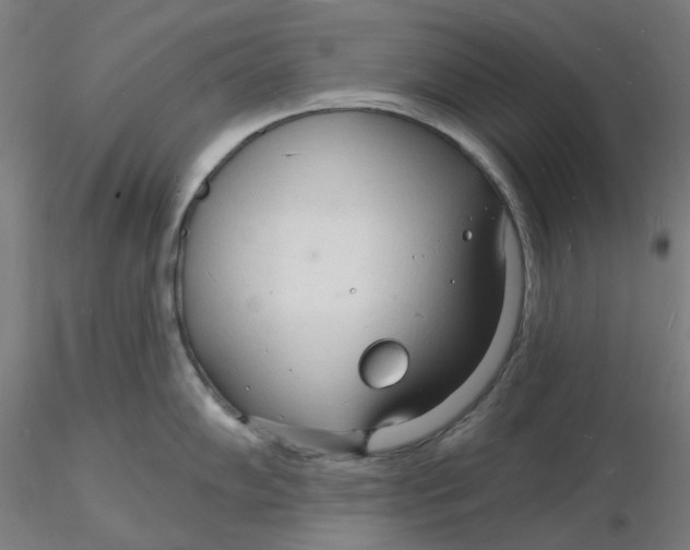 X0000116131102200912211710