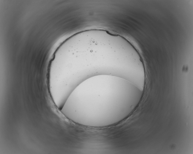 X0000116131104200912211710