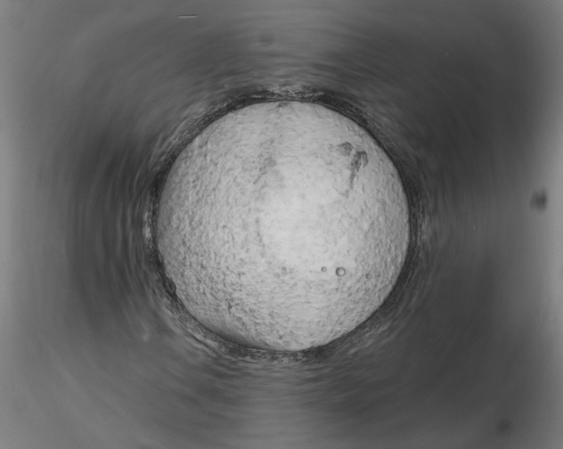 X0000116131106200912211709