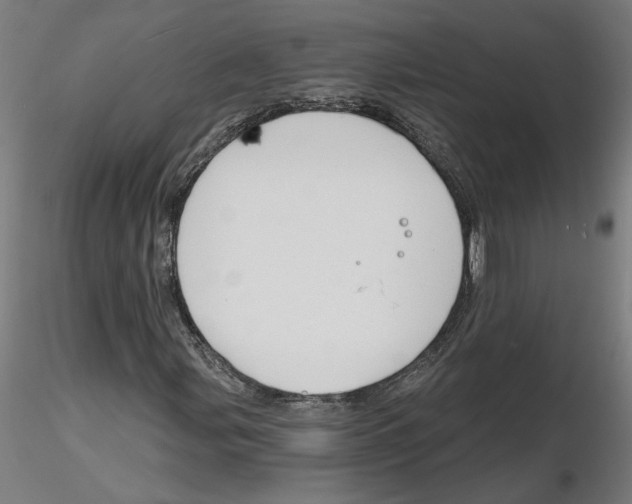 X0000116131107200912211709