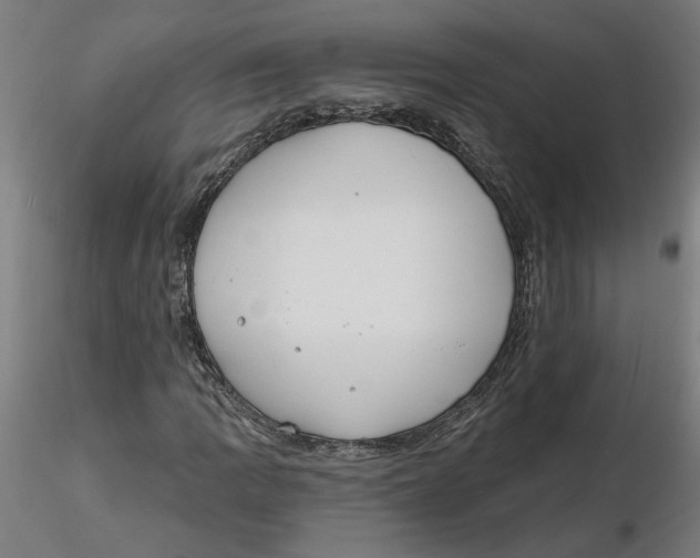 X0000116131109200912211709
