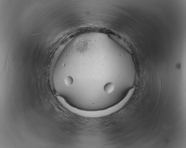 X0000116131110200912211709