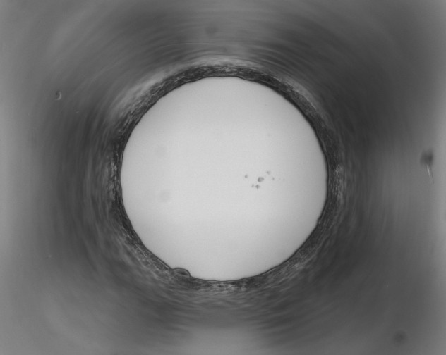 X0000116131111200912211709
