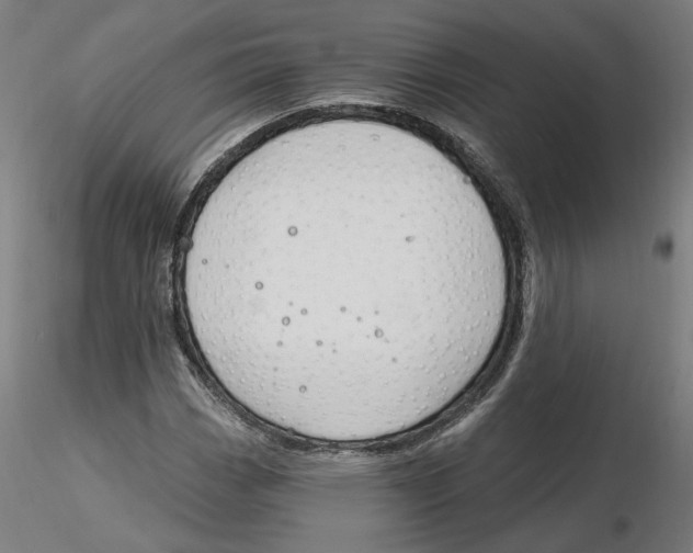 X0000116131113200912211709