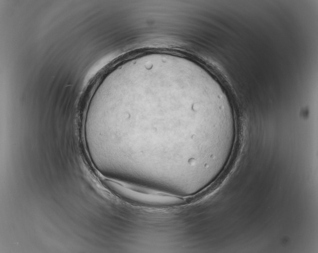 X0000116131114200912211709