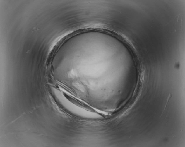 X0000116131117200912211709