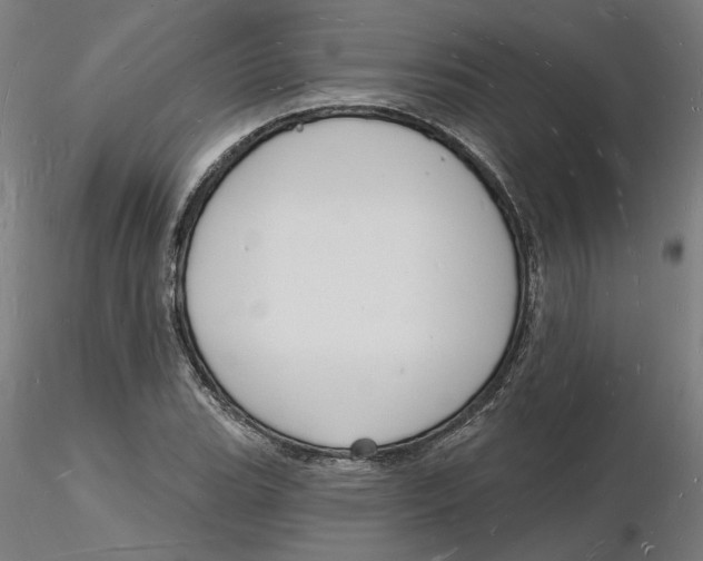 X0000116131119200912211709