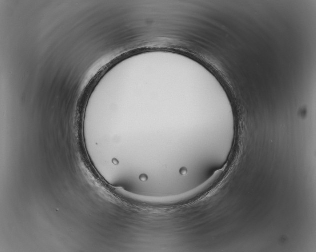 X0000116131122200912211709