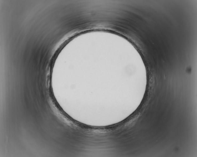 X0000116131126200912211709