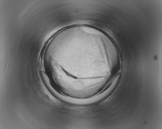 X0000116131127200912211709