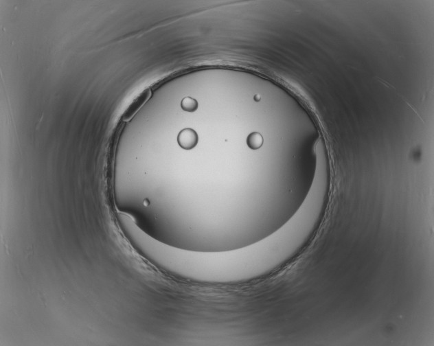 X0000116131138200912211710