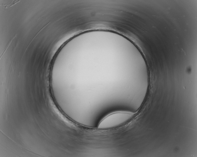 X0000116131142200912211710
