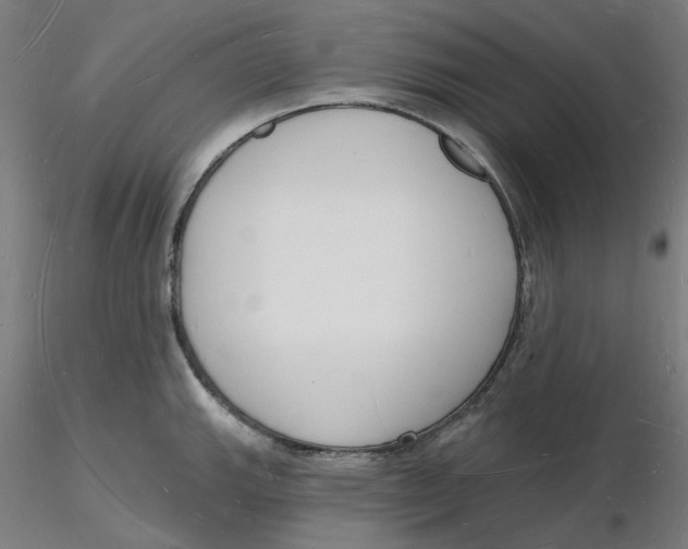 X0000116131143200912211710