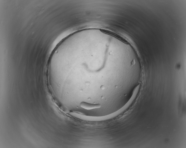 X0000116131146200912211710