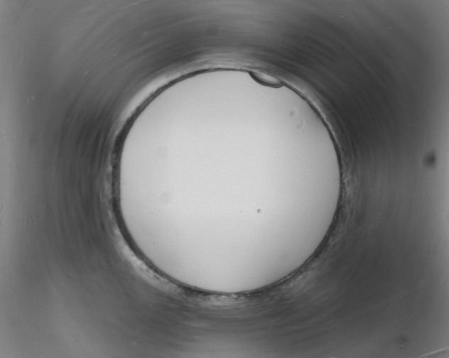 X0000116131147200912211710