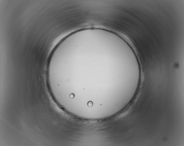 X0000116131149200912211710