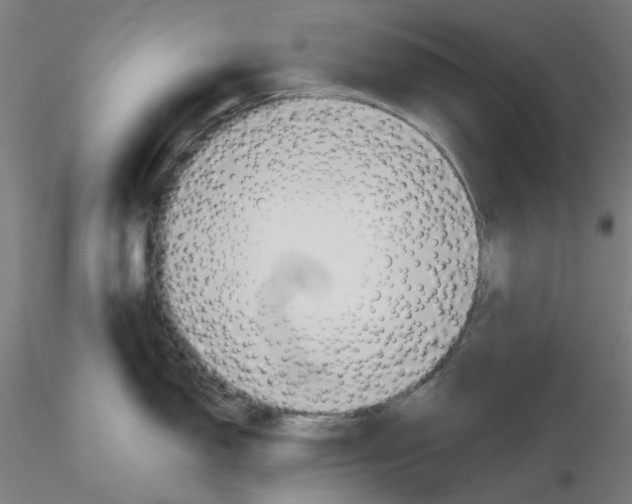 X0000116131150200912211710