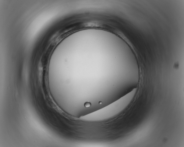 X0000116131151200912211710