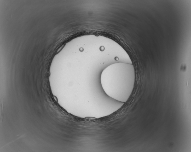X0000116131153200912211709