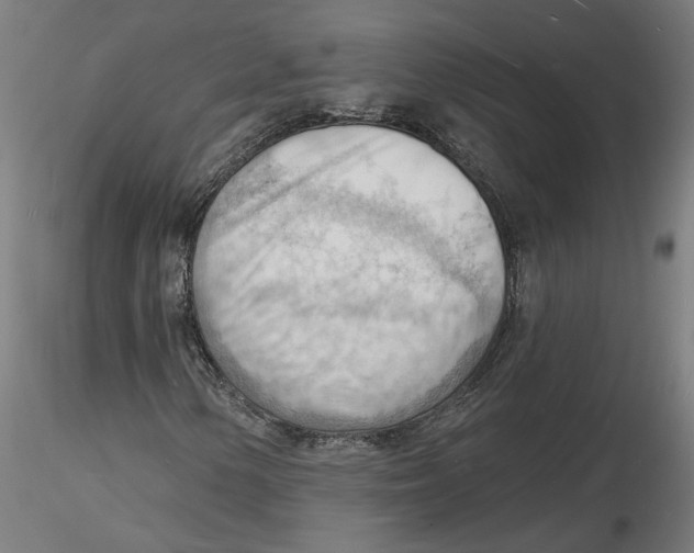 X0000116131154200912211709