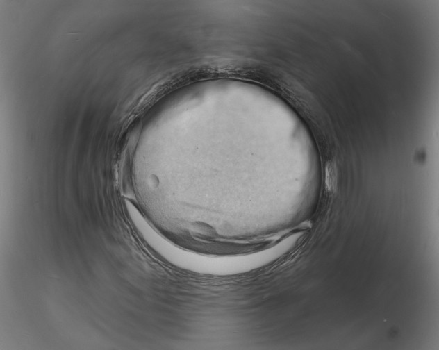 X0000116131155200912211709