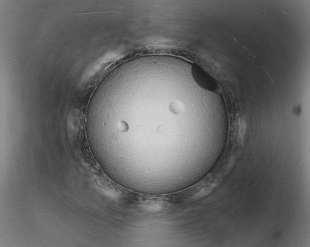 X0000116131157200912211709