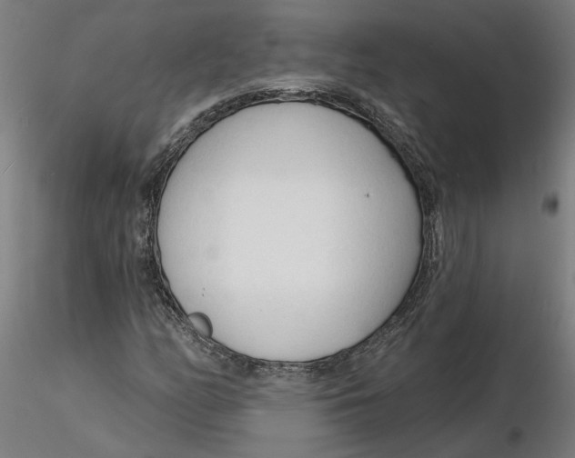 X0000116131158200912211709