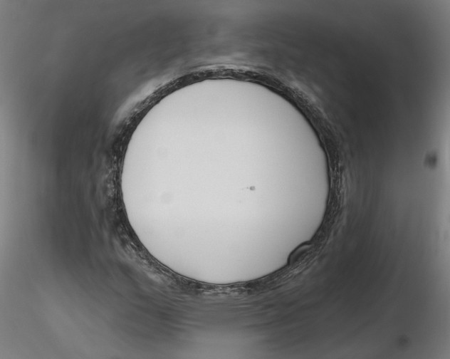 X0000116131159200912211709