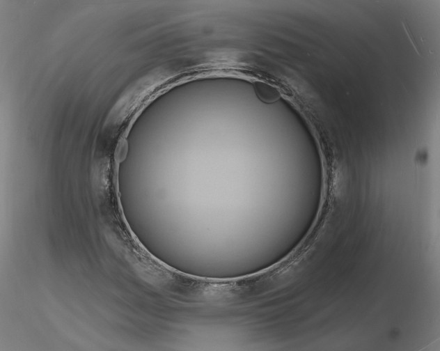 X0000116131161200912211709