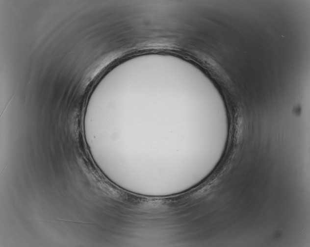 X0000116131162200912211709