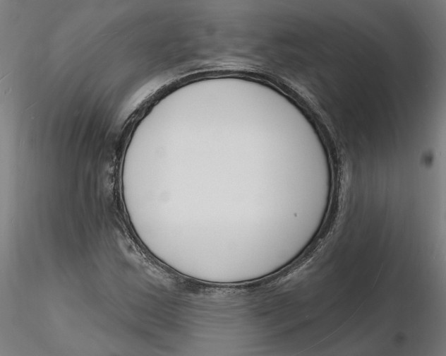 X0000116131163200912211709