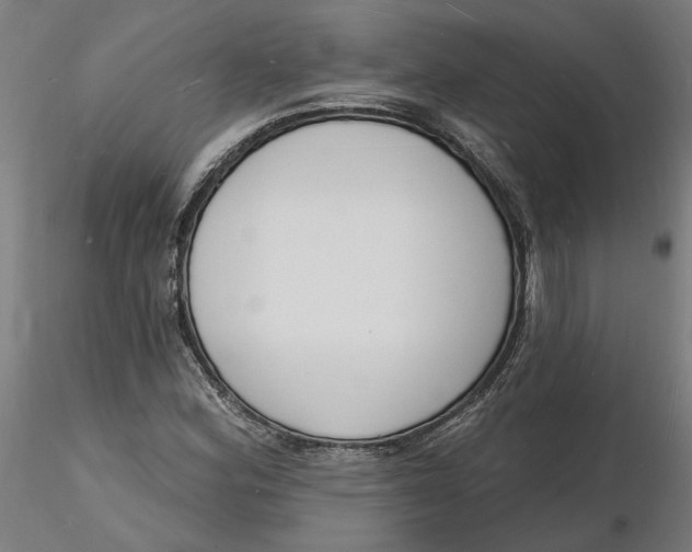 X0000116131164200912211709