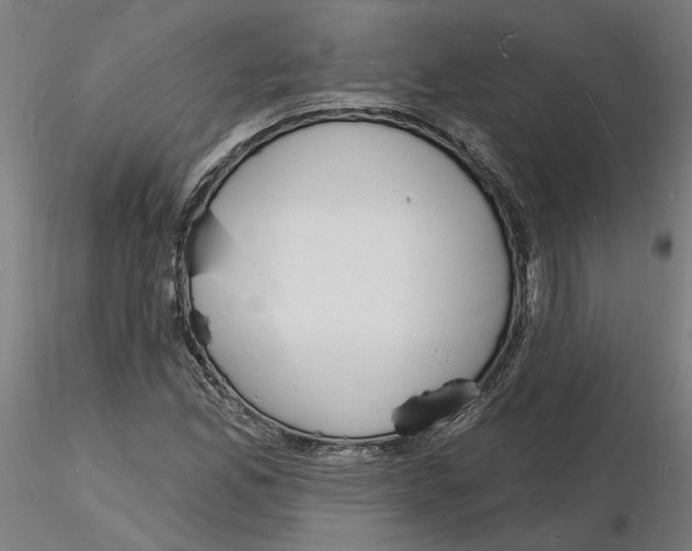 X0000116131165200912211709