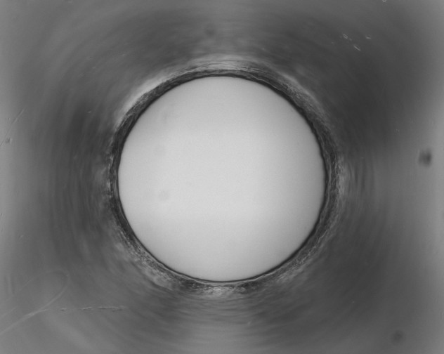 X0000116131166200912211709