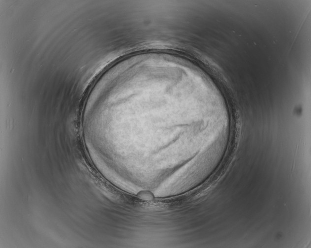 X0000116131170200912211709