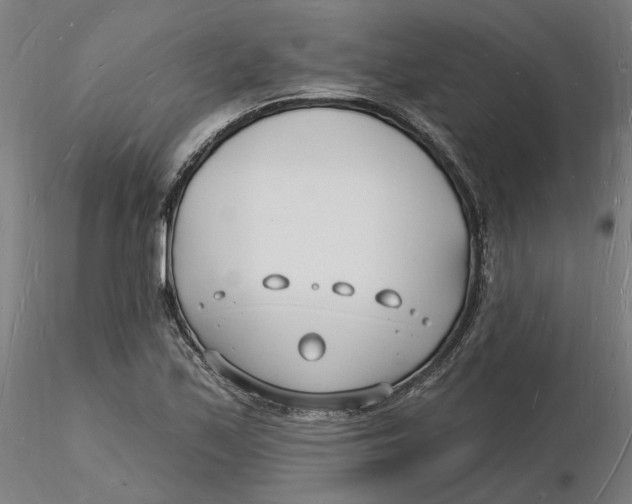 X0000116131171200912211709