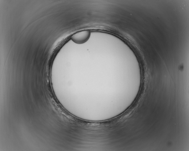 X0000116131172200912211709