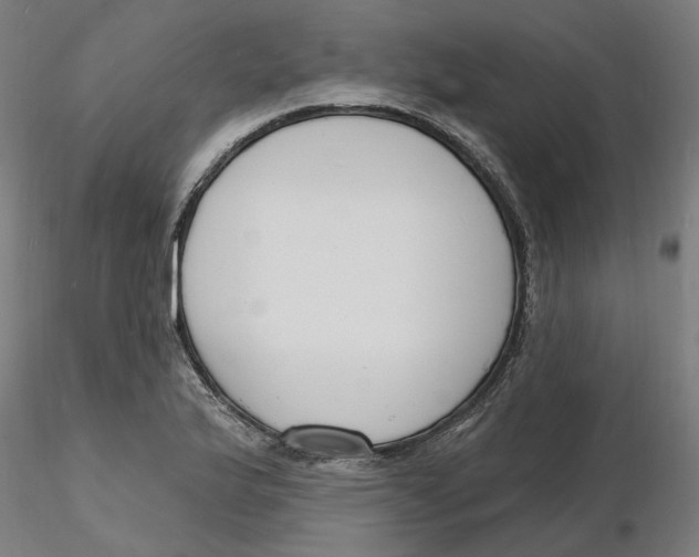 X0000116131175200912211709