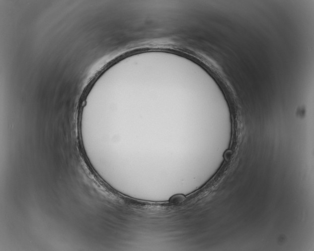 X0000116131176200912211709
