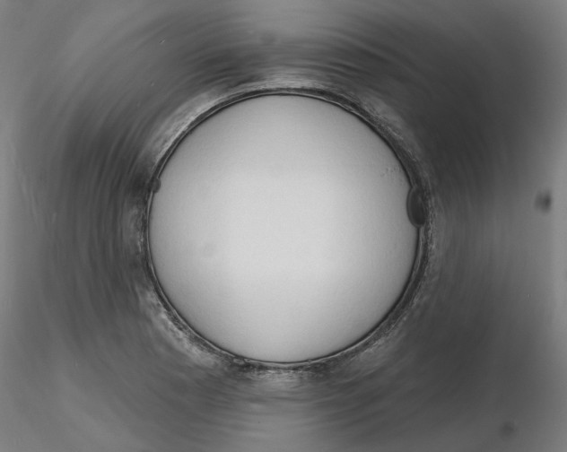 X0000116131177200912211709