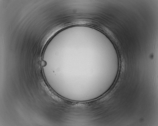 X0000116131178200912211709