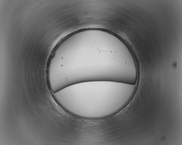 X0000116131181200912211709