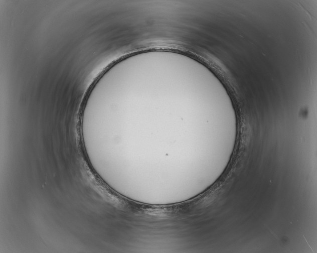 X0000116131182200912211709