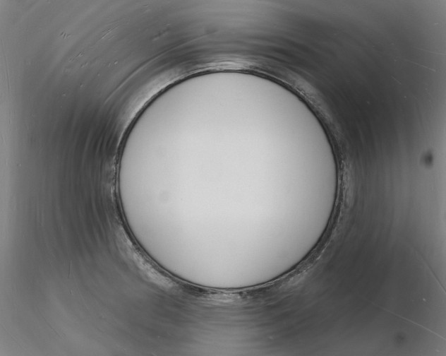 X0000116131186200912211709