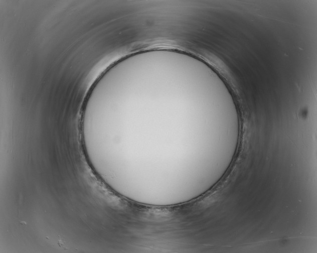 X0000116131190200912211709