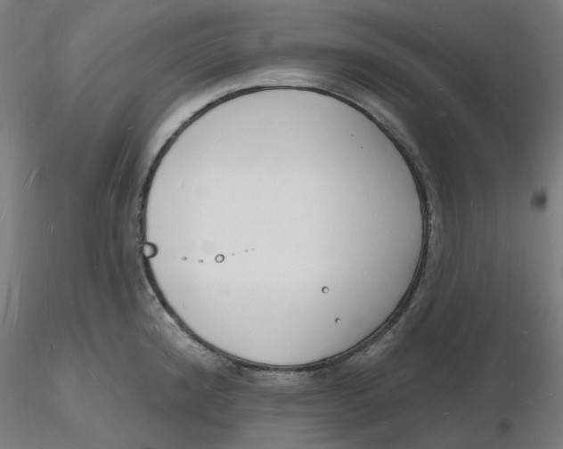 X0000116131192200912211709