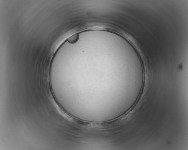 X0000116131194200912211709